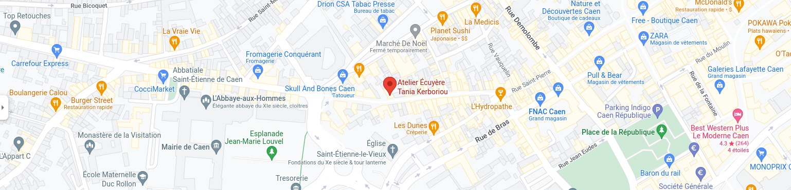 Atelier-Écuyère-Tania-Kerboriou-Google-Maps